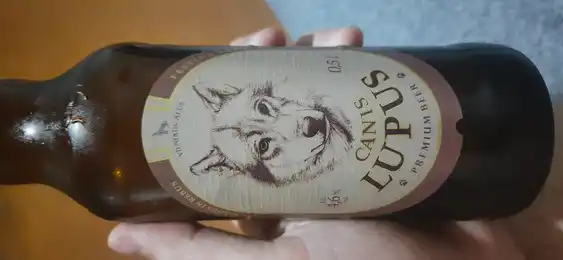 Canis Lupus Premium Beer 2