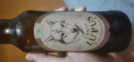 Canis Lupus Premium Beer 2