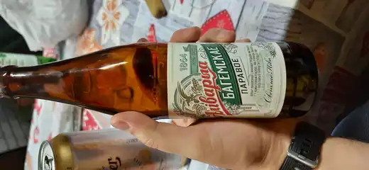 Аливарыя Багемскае Паравое 2