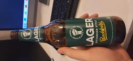 Lager Bavarian Style 2