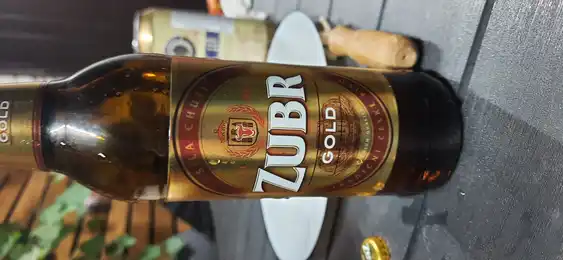 Zubr Gold 2