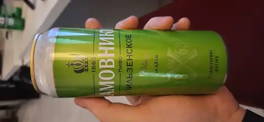 Хамовники Пильзенское 2