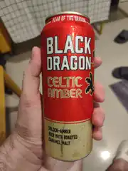 Black dragon Celtic Amber 3