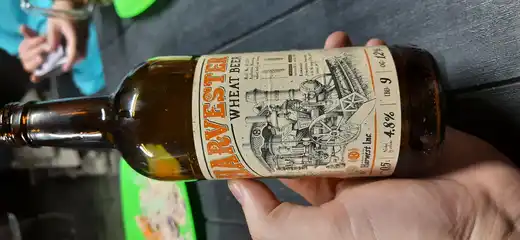 Harvester Wheat Bear 2