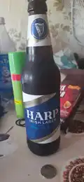 Harp Irish Lager 2
