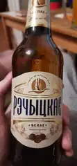 Рэчыцкае Белае 2