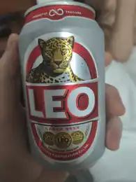 Leo 2