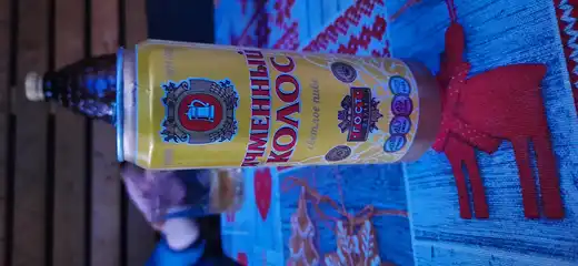 Ячменный колос 2