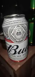Bud 2
