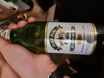 Harbin 2