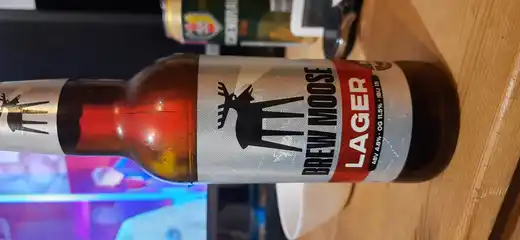 Brew moose Lager 2