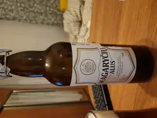 Magaryciu Alus 2