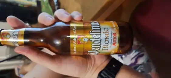 Wendelinus Blonde 2