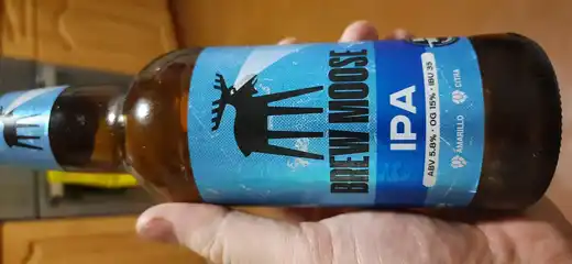 Brew moose IPA 2
